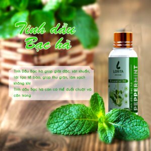 Alternative view of COMBO TINH DẦU DIỆT KHUẨN LORITA